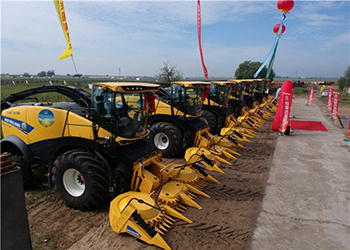 紐荷蘭：田間“充電”走進狂野非洲